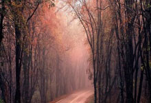 北方足球势力崛起，中超中甲球队转让潮涌动，多队寻求新东家