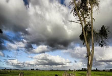 哈普谈广州冲超,球队全力以赴,呼吁球迷耐心支持